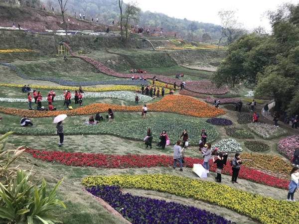 宜居木门“春回大地 走马观花”2019员工生日会圆满落幕！