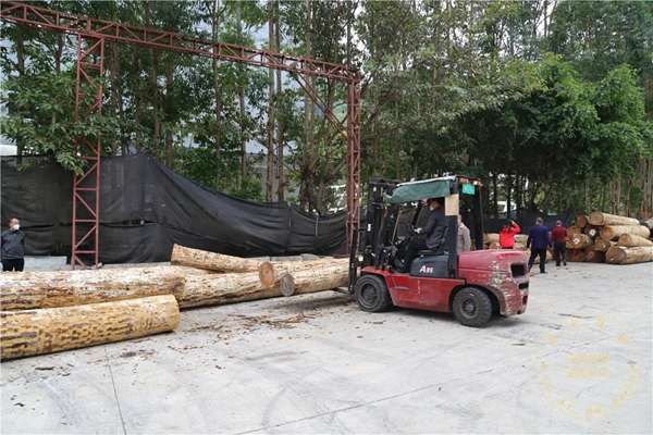 豪利整木定制：第一批北美樱桃原木顺利抵达工厂总部 来看看吧