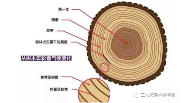 三力宏鑫：烹饪一棵原木