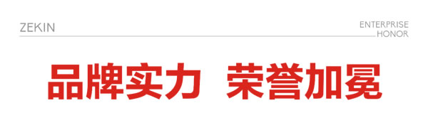 时代追光者|正金门窗斩获双项殊荣 以甄功夫实力彰显品牌价值