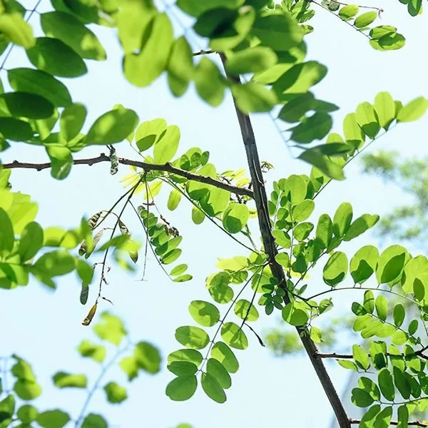 沃伦系统门窗 | 8月沃伦物语｜青春与色彩碰撞的夏天！