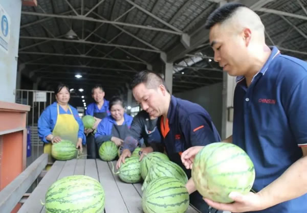 盛夏送清凉，西瓜沁人心丨群升集团党委、工会及各党支部组织开展高温关怀活动