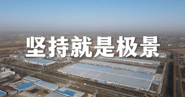 极景门窗|2023曙光已现，未来可期